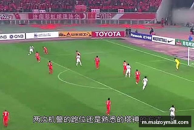 关于OE欧亿